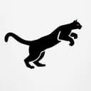 PUMA PROMOTION